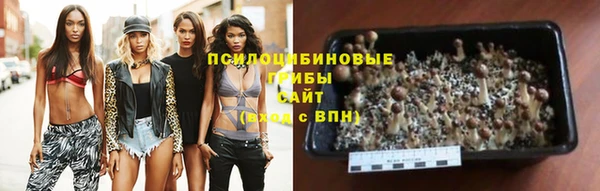а пвп мука Липки