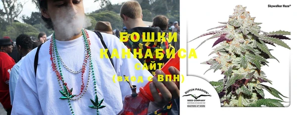 таблы Лиски