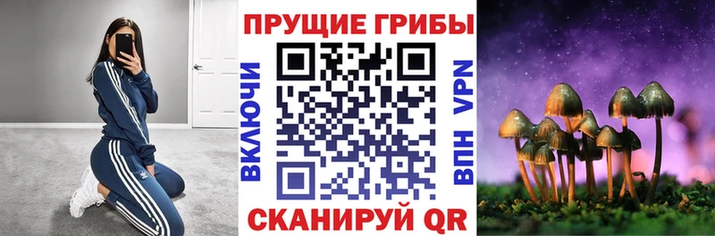 KRAKEN ТОР Шарыпово Галлюциногенные грибы Cubensis