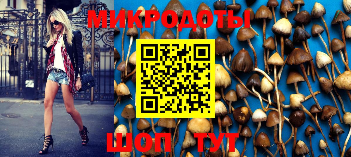 Шарыпово  Галлюциногенные грибы Psilocybe  Вход с VPN 