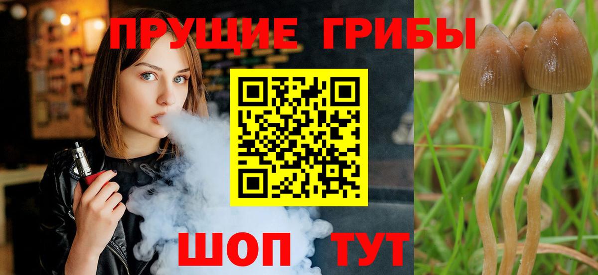 Псилоцибиновые грибы прущие грибы Шарыпово